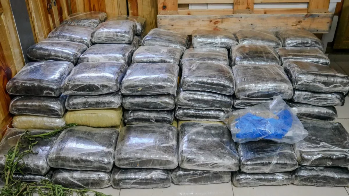 DNCD incauta más de 600 libras de presunta marihuana en operativos en Elías Piña