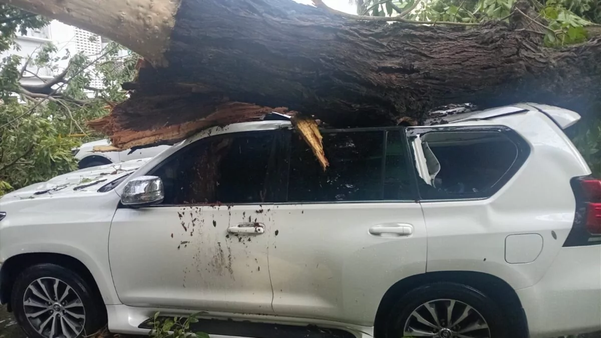 Tormentas severas causan estragos en el Gran Santo Domingo y otras provincias