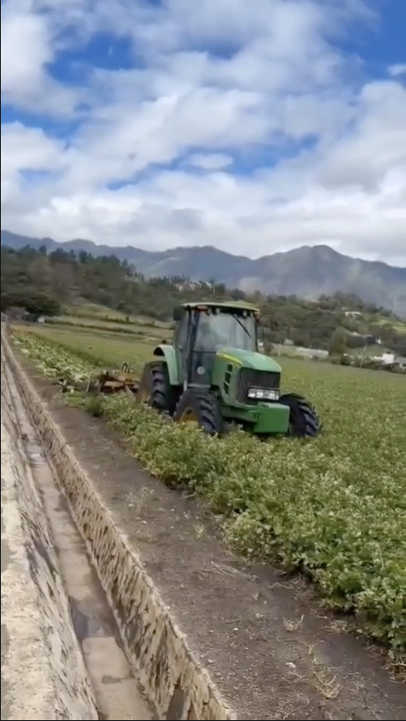 Agricultores de Constanza enfrentan crisis por altos costos y bajos precios de venta