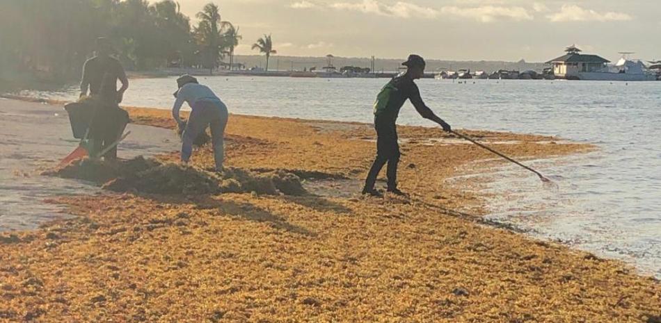 Sargazo alcanza niveles históricos en el Caribe y preocupa su impacto en las costas dominicanas