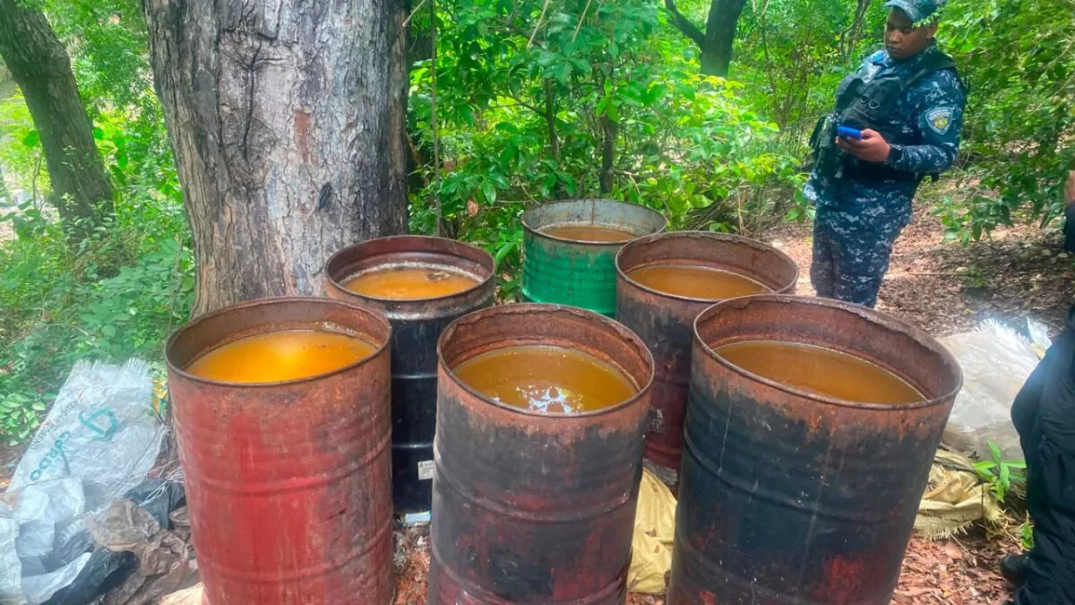 Desmantelan fábrica clandestina de bebidas adulteradas en Azua y destruyen más de 25 mil litros de alcohol en fermentación