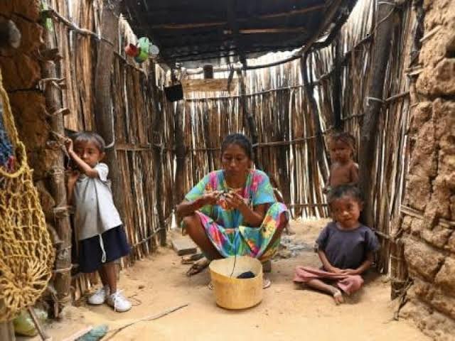 ONU: Más de 645 millones de personas padecieron hambre en 2025 pese a ligera mejoría mundial