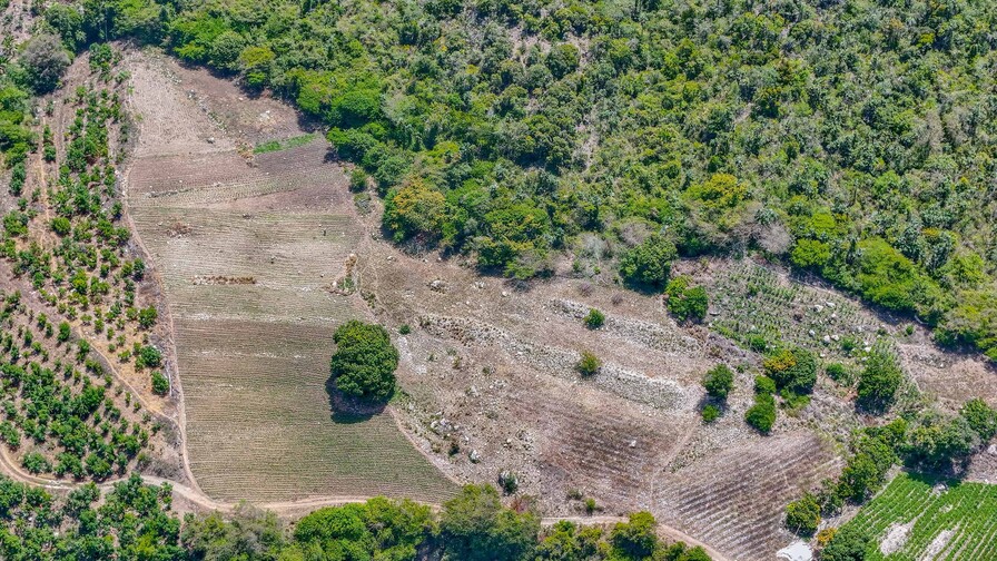 Investigación por millonario decomiso de marihuana en Ocoa sigue abierta un mes después