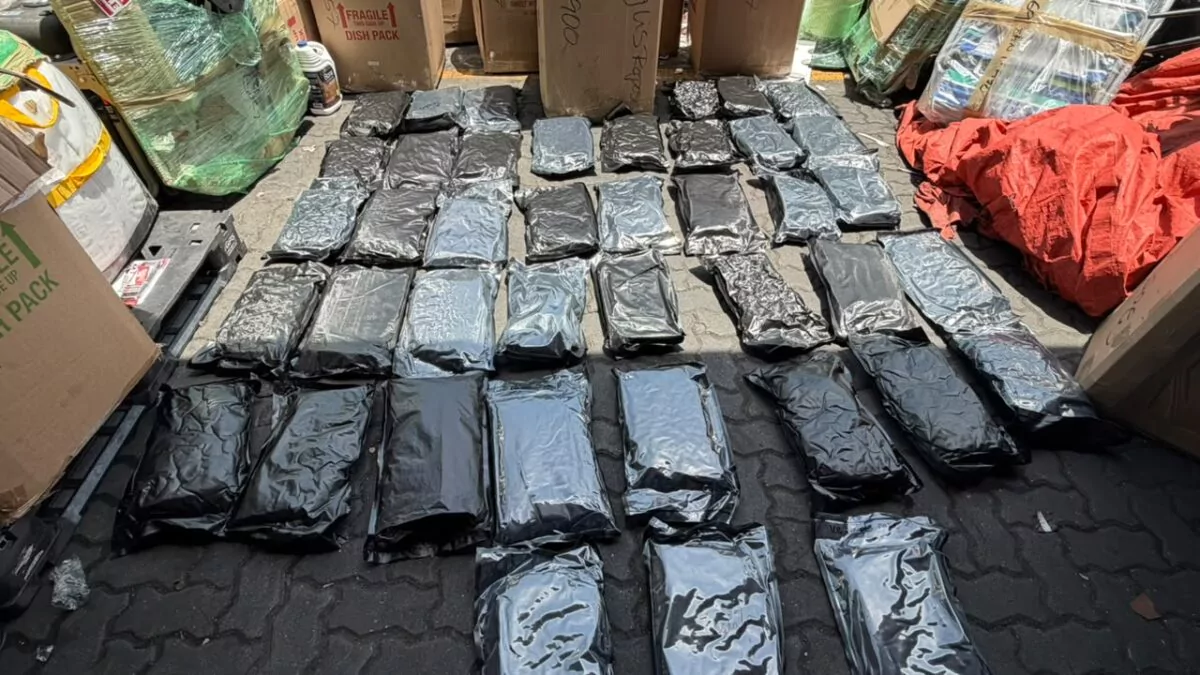 DNCD ocupa 41 paquetes de marihuana enviados desde Estados Unidos en Haina
