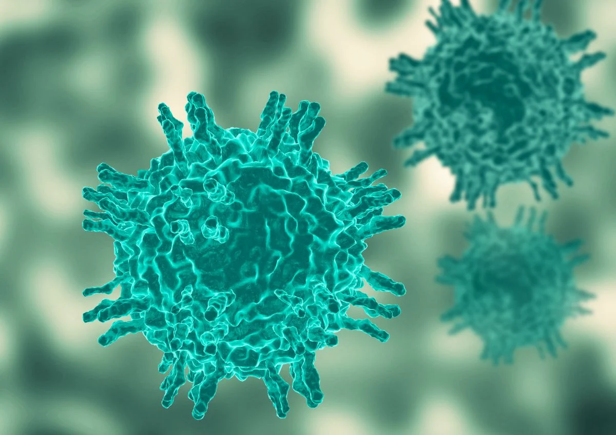 OMS considera poco probable la propagación del virus Shamonda tras primer caso humano mortal en Francia